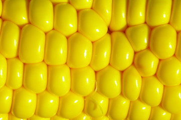 Maiskolben Teilausschnitt Makro