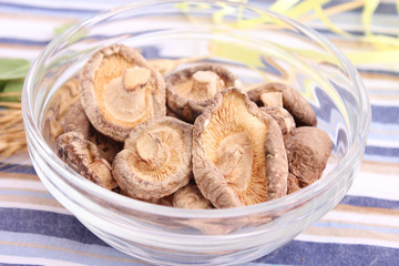 Shiitake Pilze