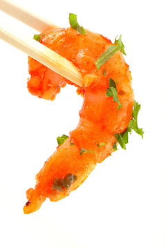 scampi #1