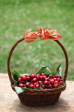 Some beautiful sweet cherry fruit in a basket