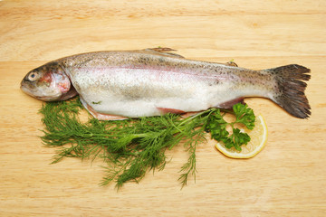 Fresh trout on a board with herbs