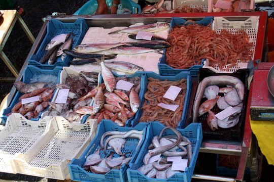 Italy Sicily Catania fishmarket gamberone