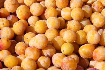 Mirabelles