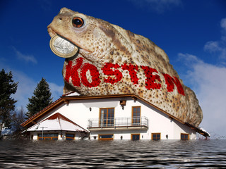 Versichern sie ihr Haus gegen Naturkatastrophen!