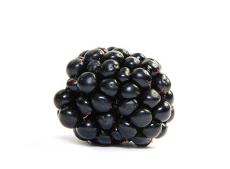 Fresh blackberry isolated on white background