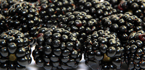 Blackberries background