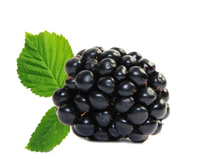 Fresh blackberry isolated on white background