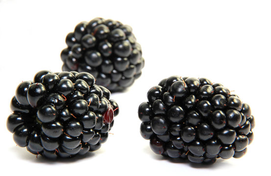 Fresh blackberries isolated on white background