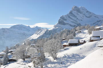 Fototapeta na wymiar Alpejski dekoracje, Braunwald, Szwajcaria