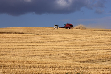 Obraz premium A combine is harvesting in a field with a truck close by.