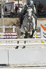 Militar efectuando un salto a caballo.