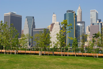 Naklejka premium New York City Skyline from a Park