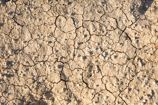 Cracked dry ground.