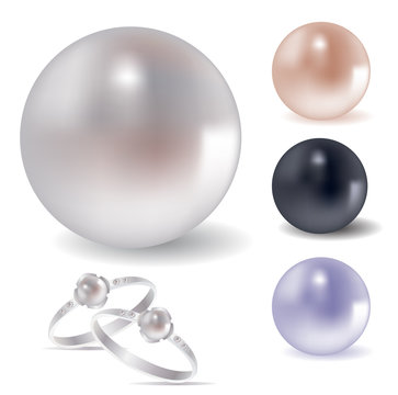 Vector collection of different pearls