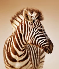 Tuinposter Zebra portret © JohanSwanepoel