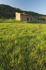 Fototapeta premium lonely house