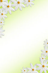 Fototapeta na wymiar Abstract background with white daisy, lace and a space for a tex