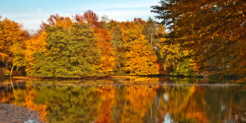 herbstliche Insel im See