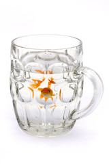 goldfish in a glass beer tankard