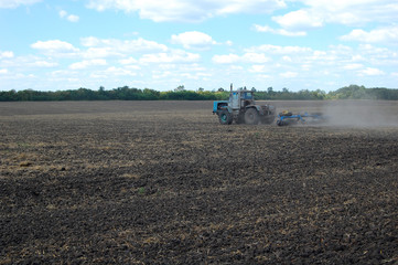 Fototapeta premium Rolling field
