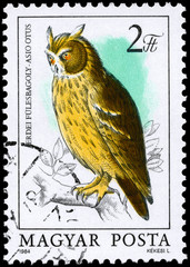 HUNGARY - CIRCA 1984 Long-eared Owl