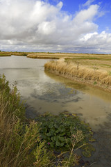 france; 85; marais poitevin : canal et nénuphards sous les nuage