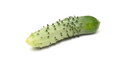 cucumber