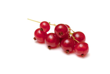 red currant