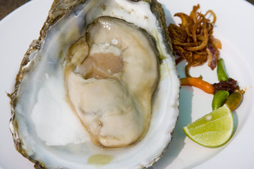 Fresh oyster