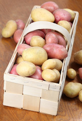 Red and white organic potatoes