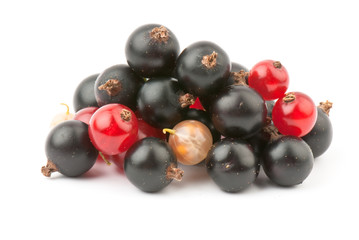 currant