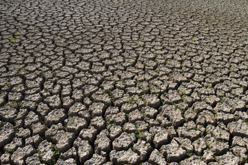 Dry soil with crack