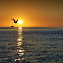Fototapeta na wymiar Sunrise on Black Sea