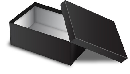 Black box