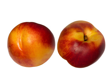 Fototapeta na wymiar Fruit hybrid peach apricot nectarine