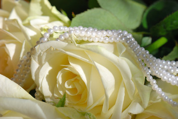 PerlenRose