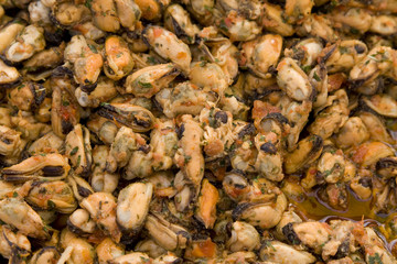 Mejillones