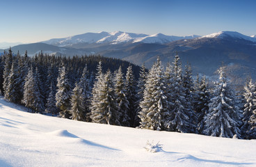 Fototapeta na wymiar winter in mountains