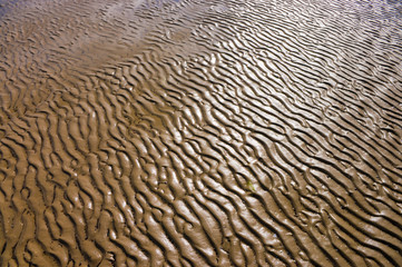 Colorful sand ripples on a beach with shallow water during ebb