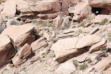 Petrified Forest