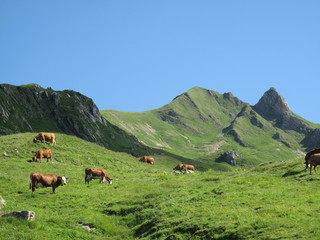 Fototapeta na wymiar Alpages
