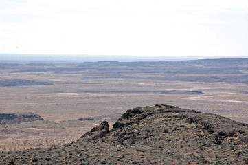 Petrified Forest Landscape - Arizona