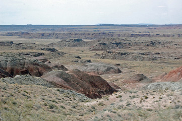 Petrified Forest Landscape - Arizona