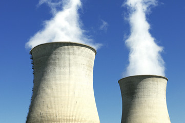 chemin&eacute;es nucl&eacute;aires