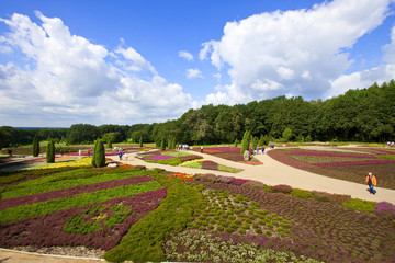 Lüneburger Heide