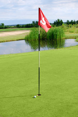 golf field with ball