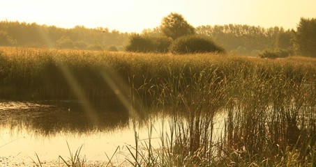 Рассвет © yavlonin