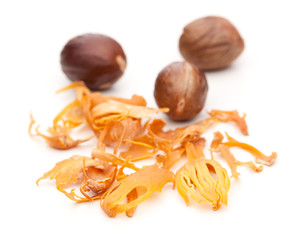 Macisblüte Schale von Muskatnuss