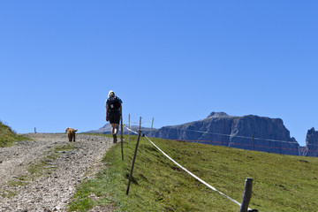 Wandern #5