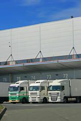 camions
